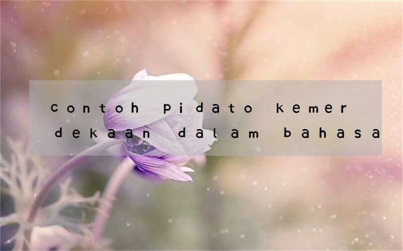 contoh pidato kemerdekaan dalam bahasa inggris buat anak smp